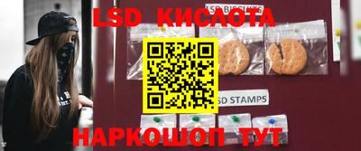 трава Камышлов