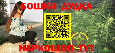 тгк Кандалакша