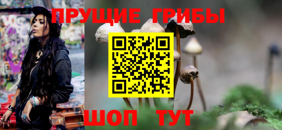Псилоцибиновые грибы GOLDEN TEACHER  купить   Вход с VPN  Искитим  Галлюциногенные грибы мухоморы 